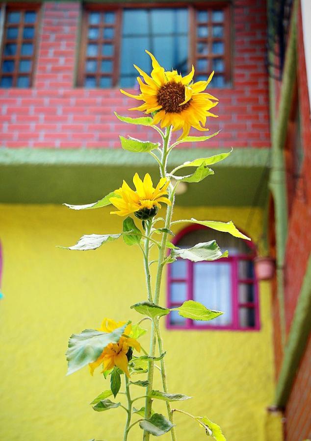 Hostal Inti Raymi Backpackers Baños Buitenkant foto